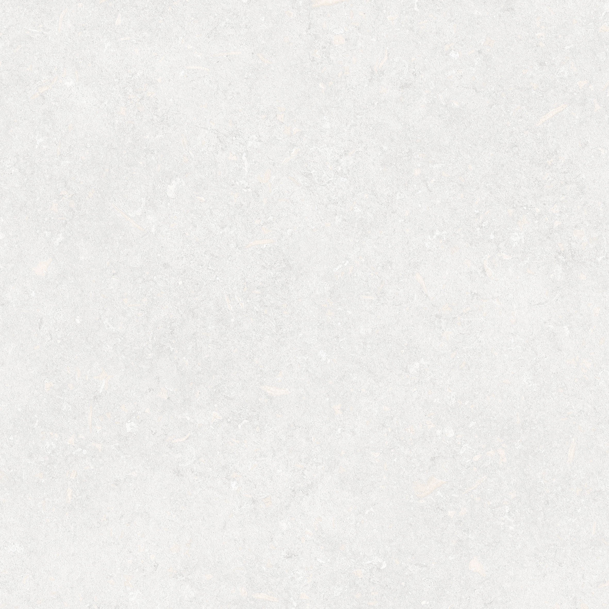 Brighton Porcelain Tile