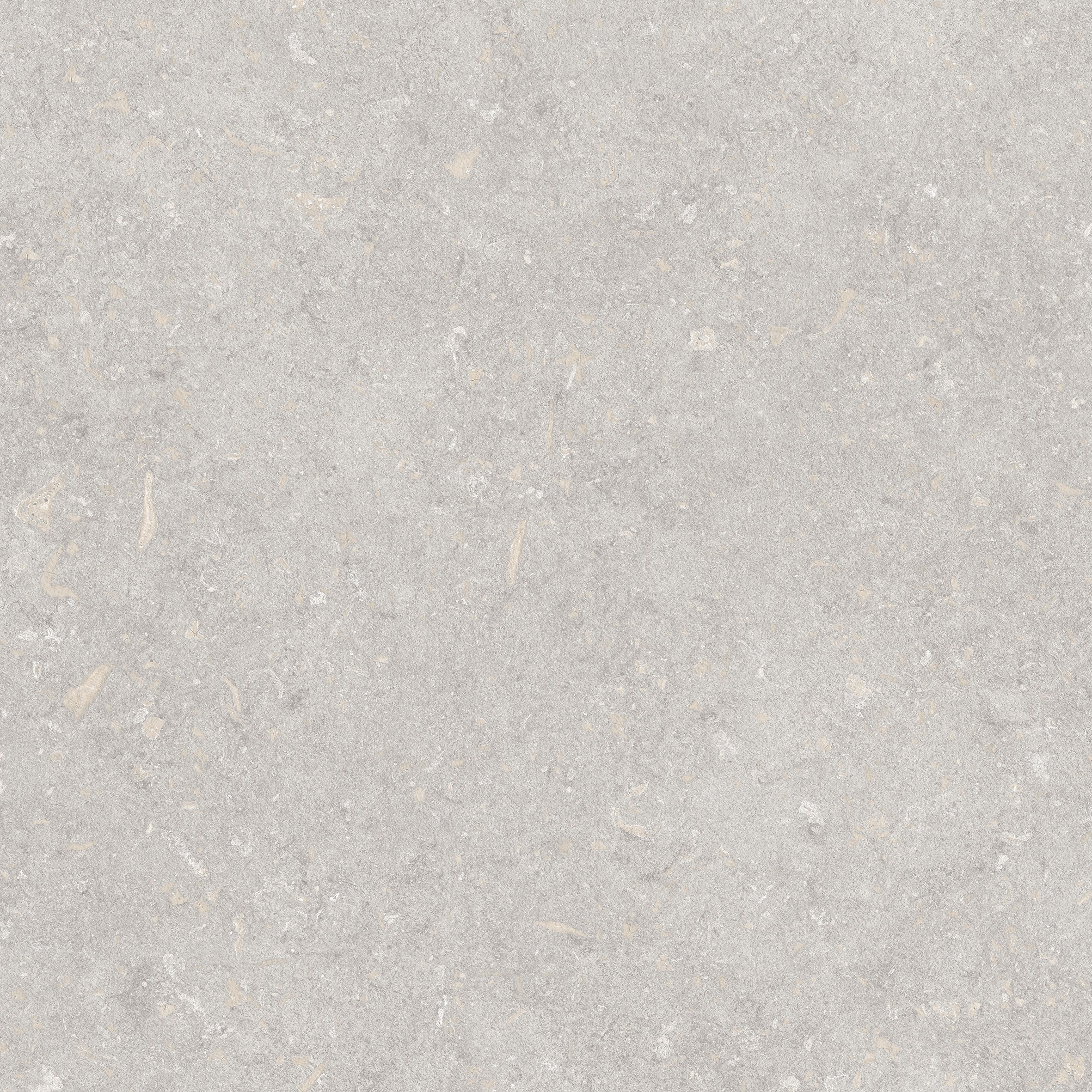 Brighton Porcelain Tile