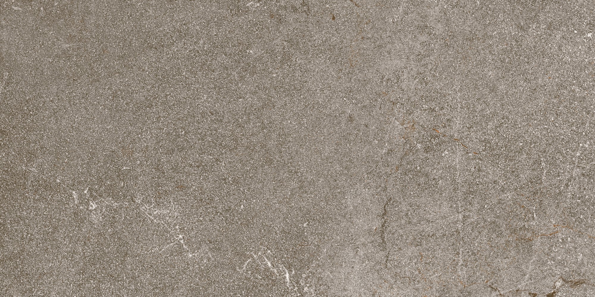 Courtyard Taupe 300x600mm Exterior