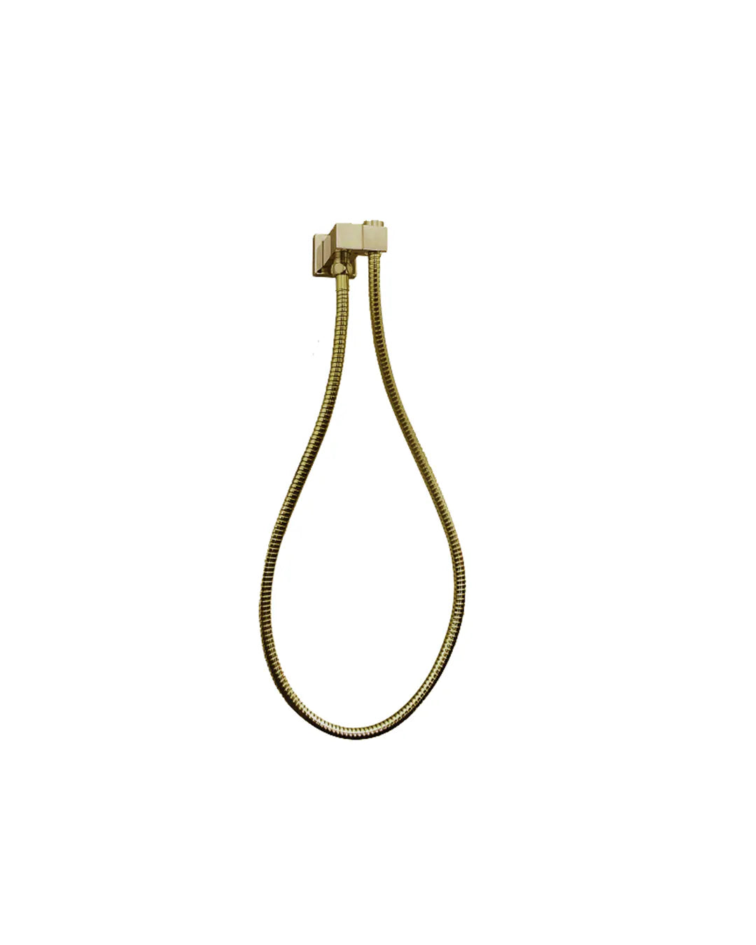 Esperia Shower Holder & Connector