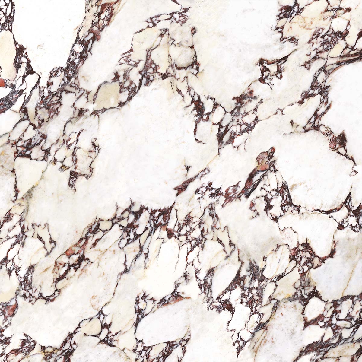 Wonderland Porcelain Tiles