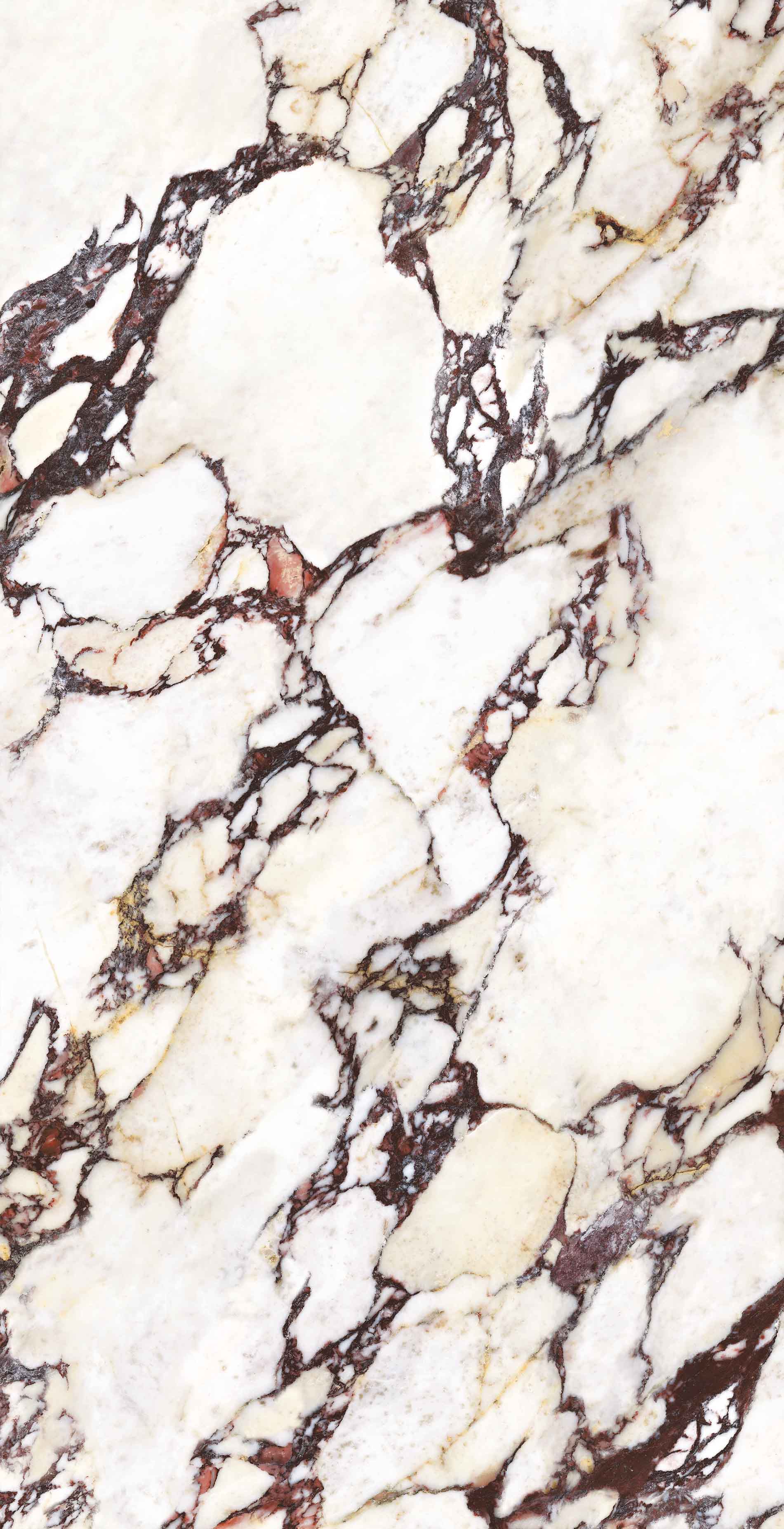Wonderland Porcelain Tiles