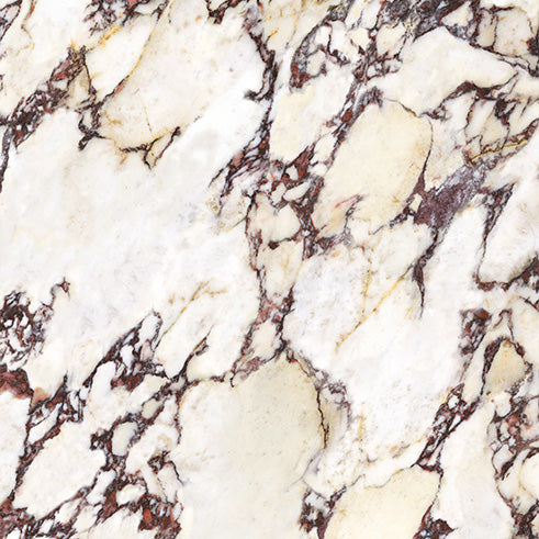 Wonderland Porcelain Tiles