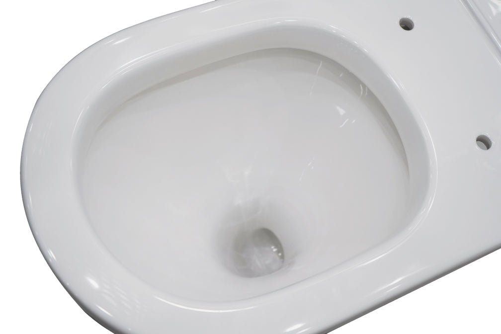 Vera Extra High Whirlpool Flushing Back to Wall Toilet Suite - Neche Interiors