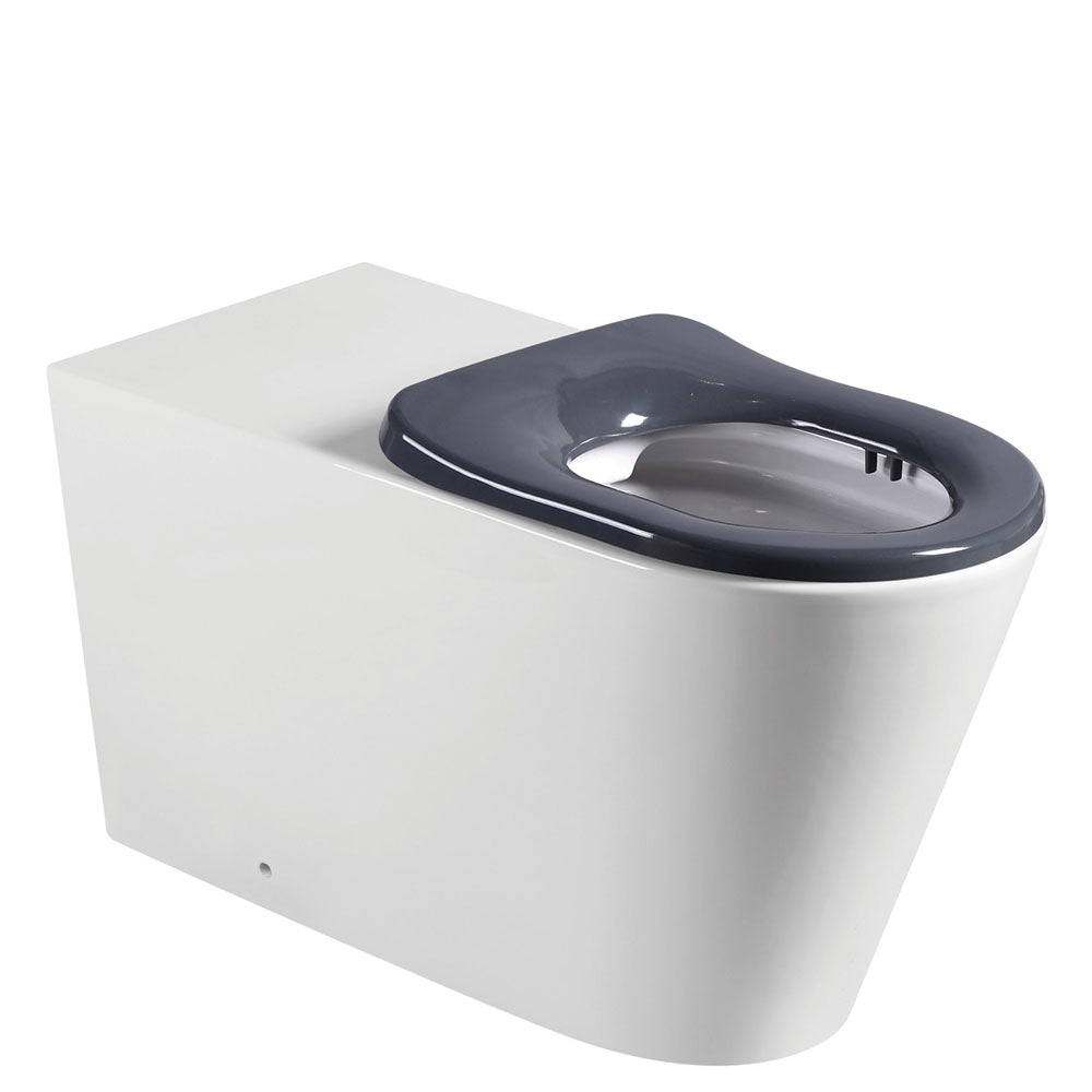 Fienza Isabella Care Grey Wall-Faced Toilet